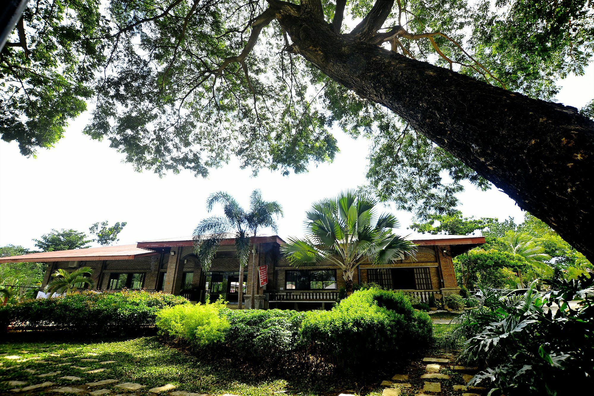 Reddoorz Plus Near Vigan Convention Center Exterior foto